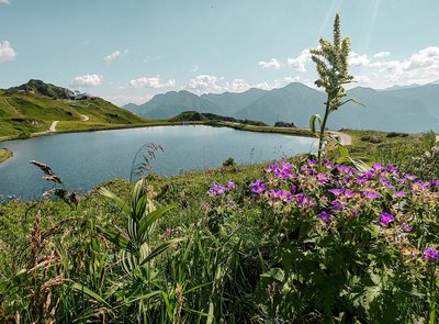 Dieses Bild zeigt den Schlossalmsee in Gastein