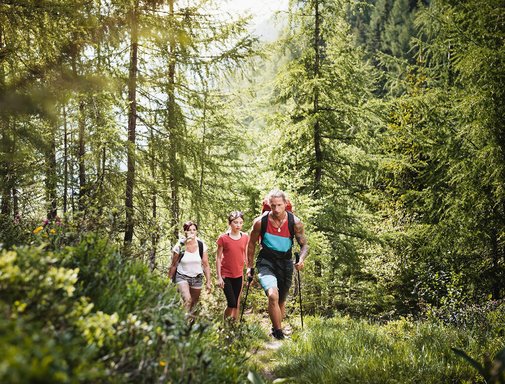 Dieses Bild zeigt drei wanderer, die im Gasteinertal im Wald wandern