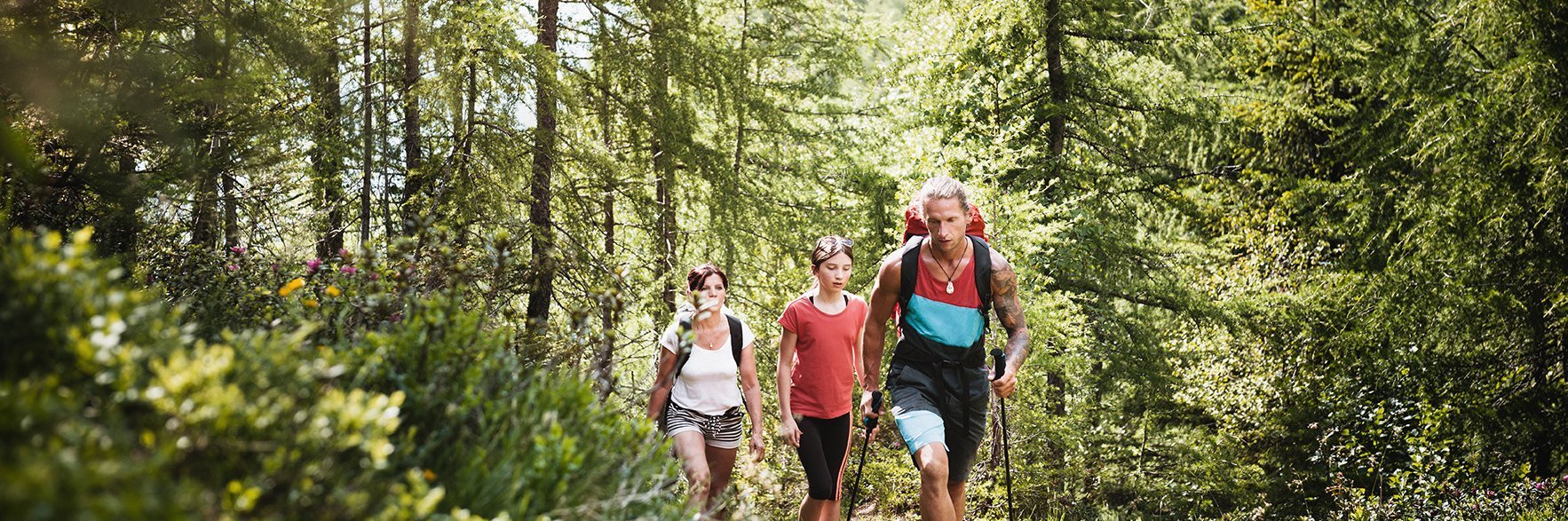 Dieses Bild zeigt drei wanderer, die im Gasteinertal im Wald wandern
