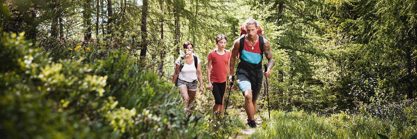 Dieses Bild zeigt drei wanderer, die im Gasteinertal im Wald wandern