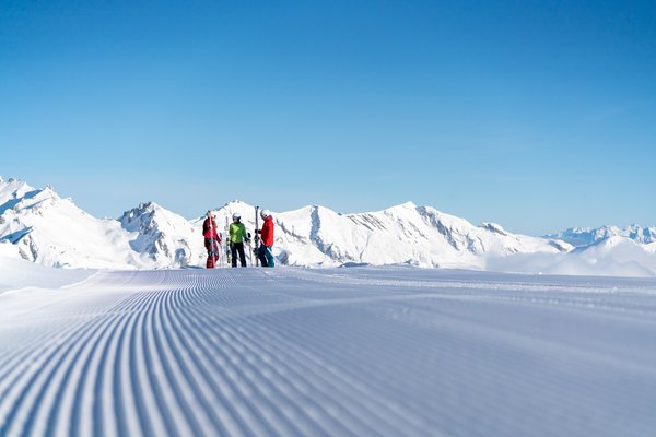 {image  .alternative}