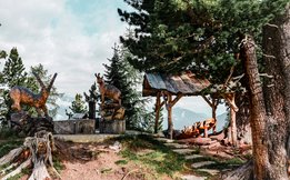 [Translate to Englisch:] Zirbenzauber am Graukogel