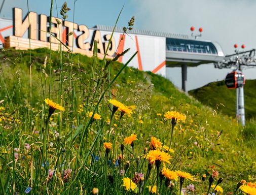 Natur & Marketing – Biodiversität Dieses Bild zeigt die Bergstation Schlossalm, das Gasteinschild und eine Sommerliche Blumenwiese